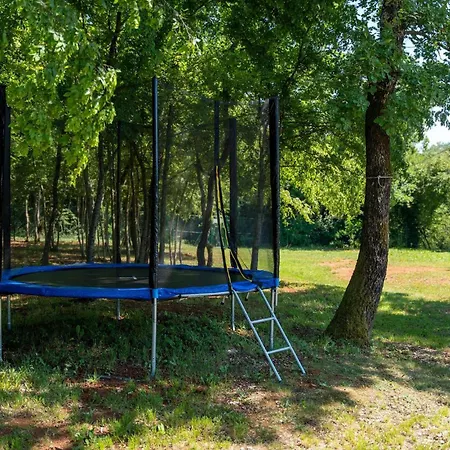 Villa Vranici Holiday home