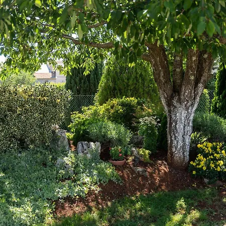 Tatil Evi Villa Vranici *